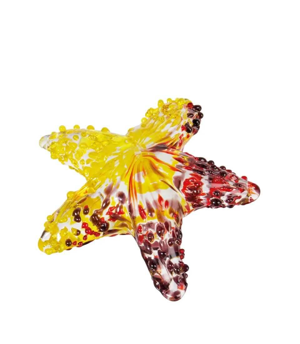 Stella marina decorativa - set 5 pz