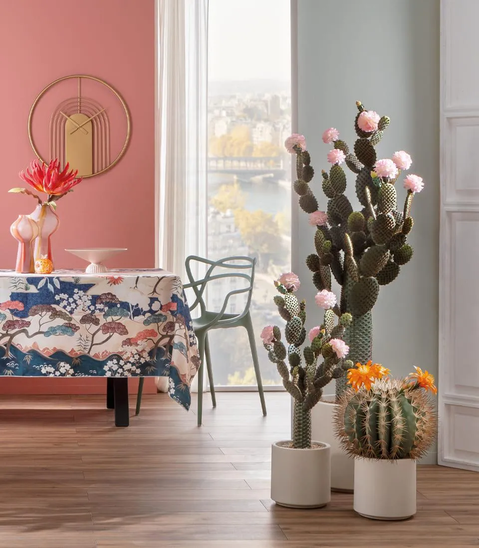 Cactus with pink flowers