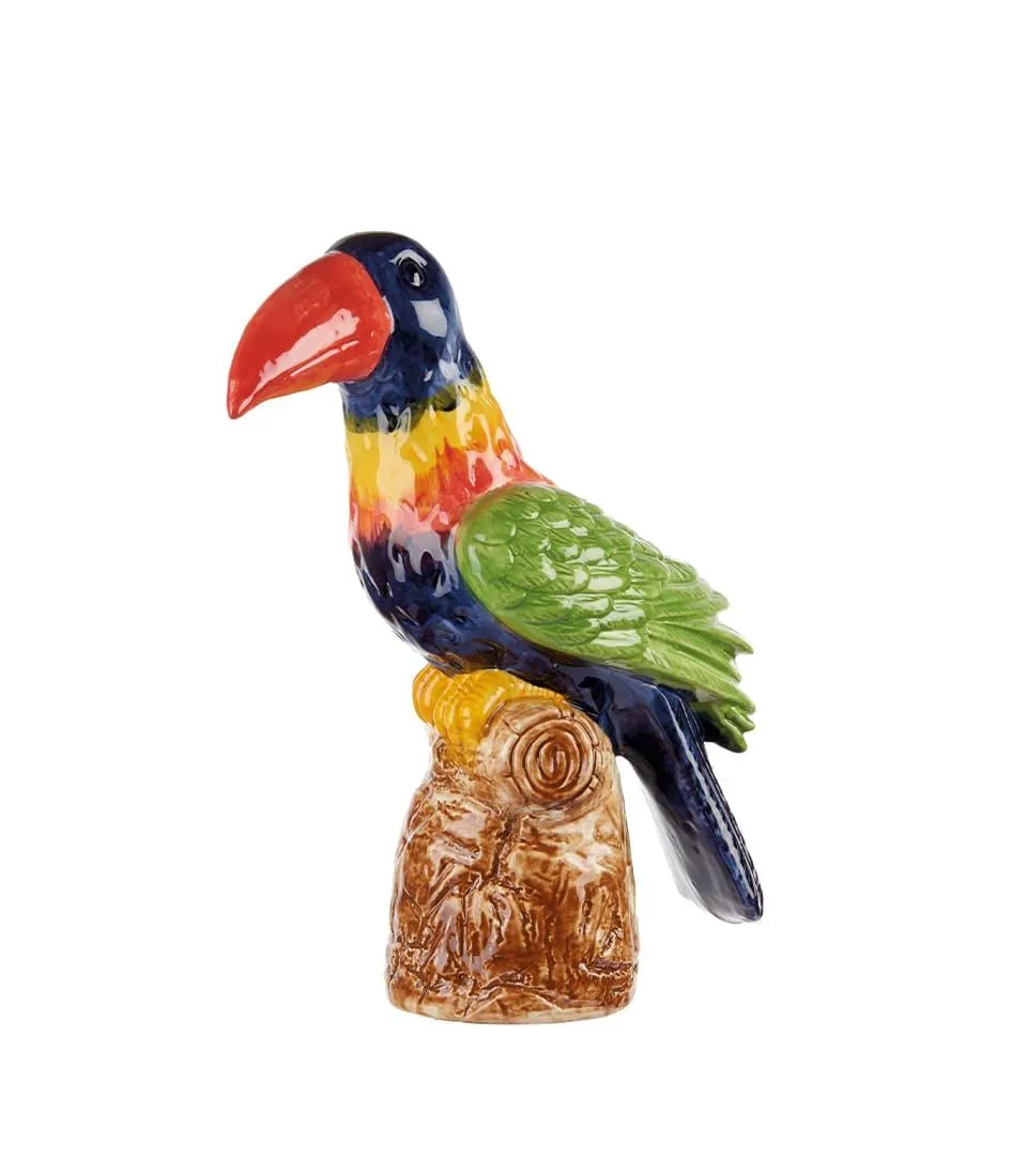 Tucano arcobaleno decorativo