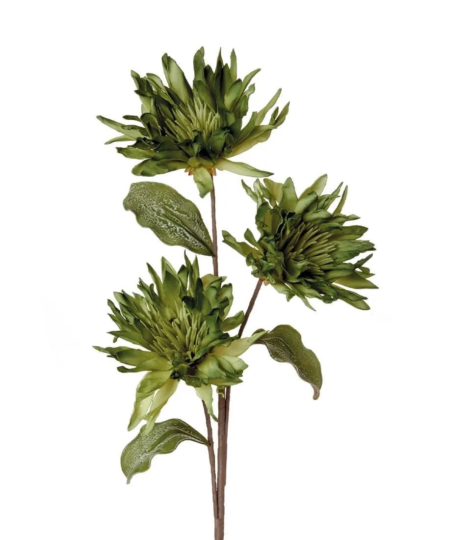 LYCORIS, GREEN (4 pcs/pack)