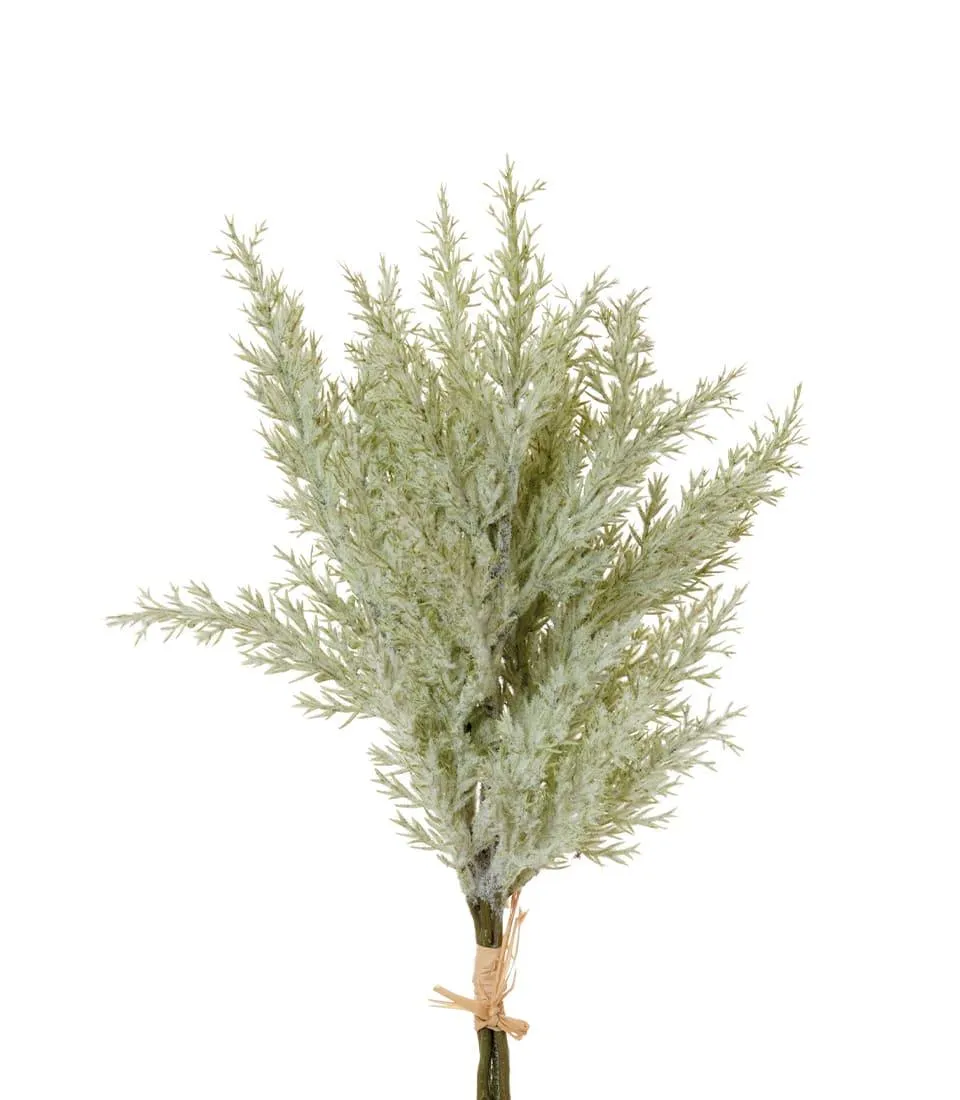 JUNIPER, GREEN (4 pcs/pack)