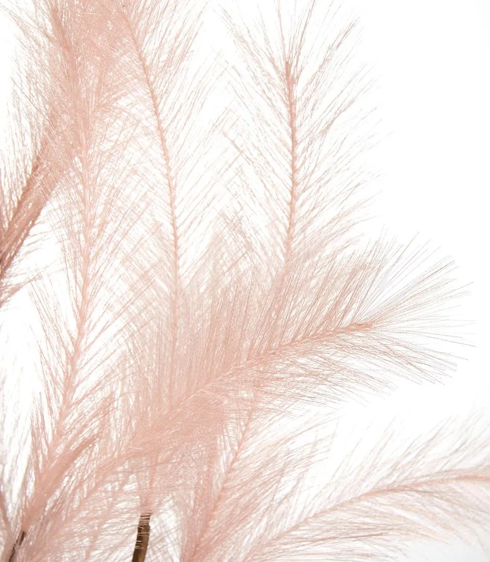 Pampas, pink