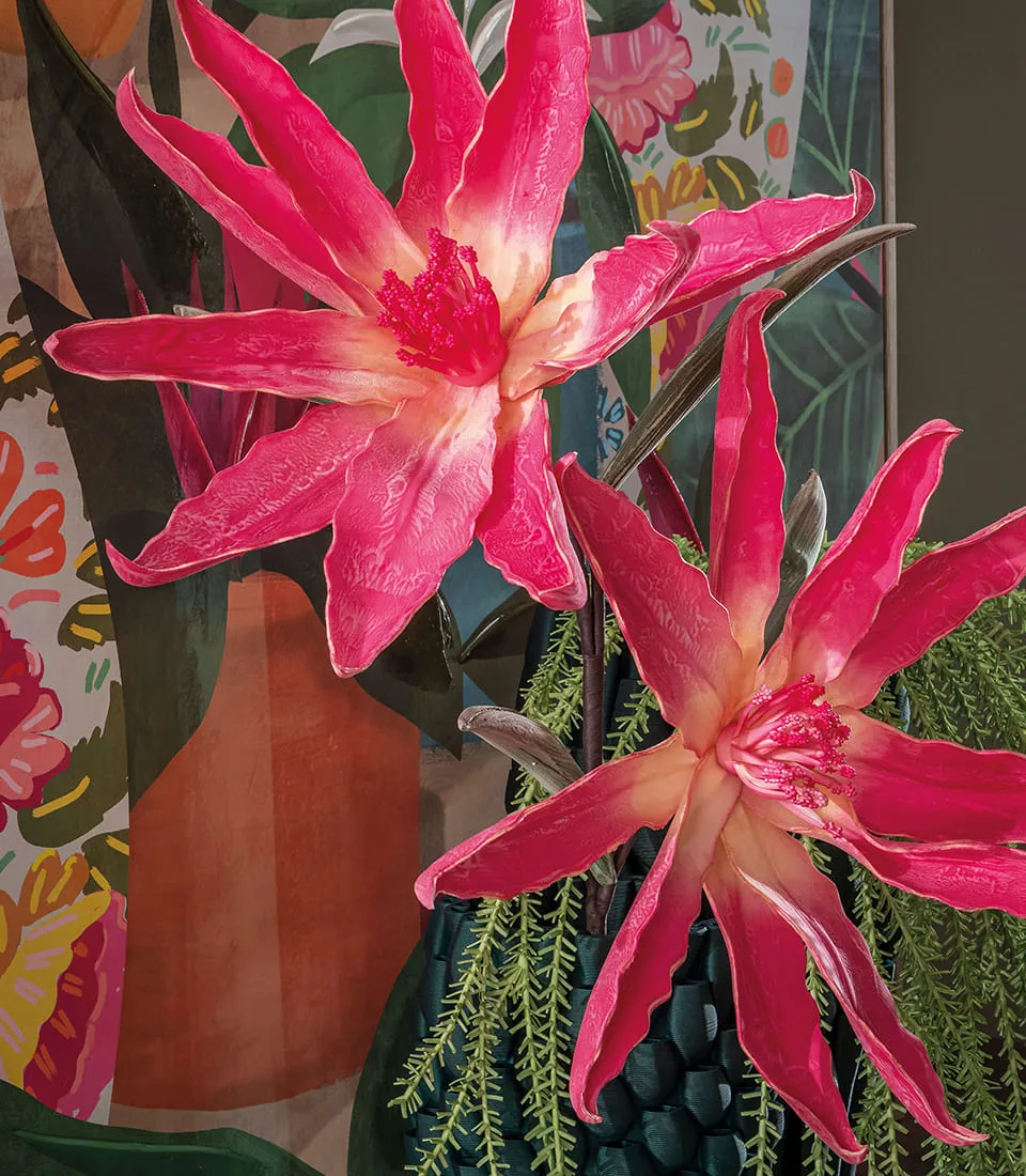 Leucodendro rosso
