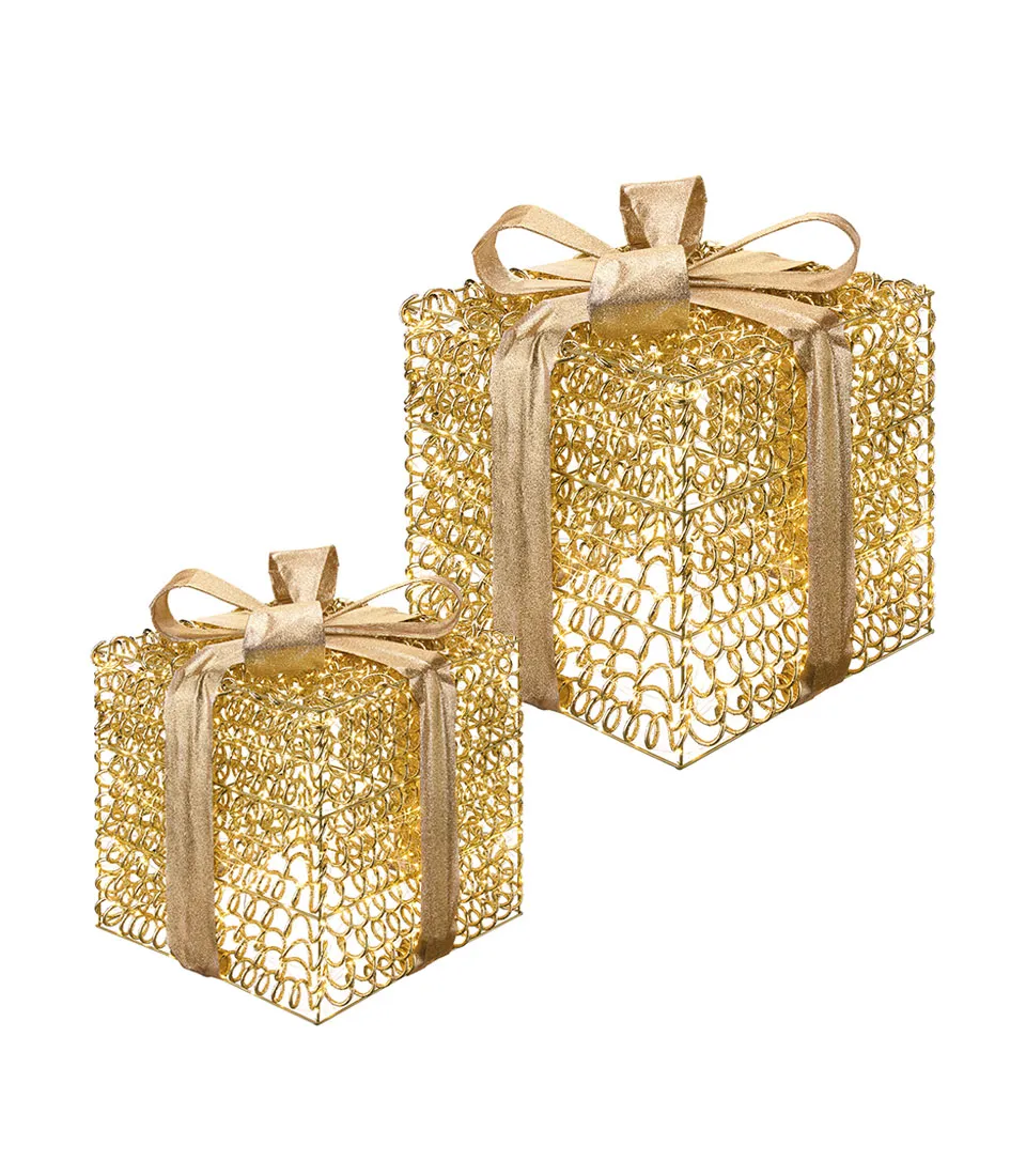 PRECIOUS GIFTS (2 PCS)