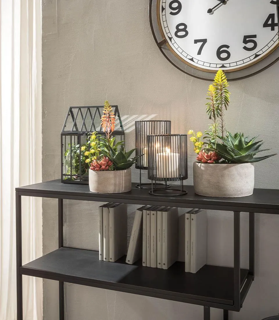 Succulent plant arrangement - set 2 pcs.