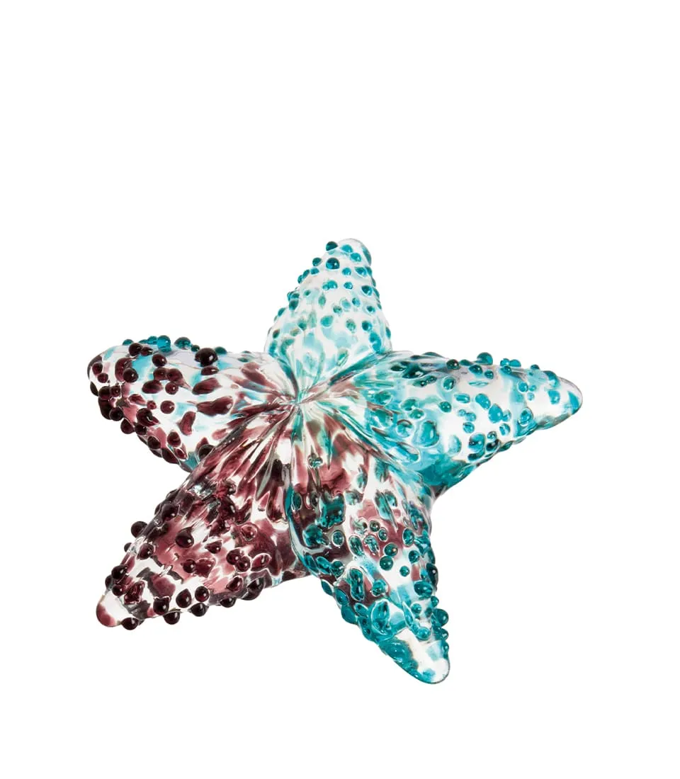 Decorative starfish - set 5 pcs.