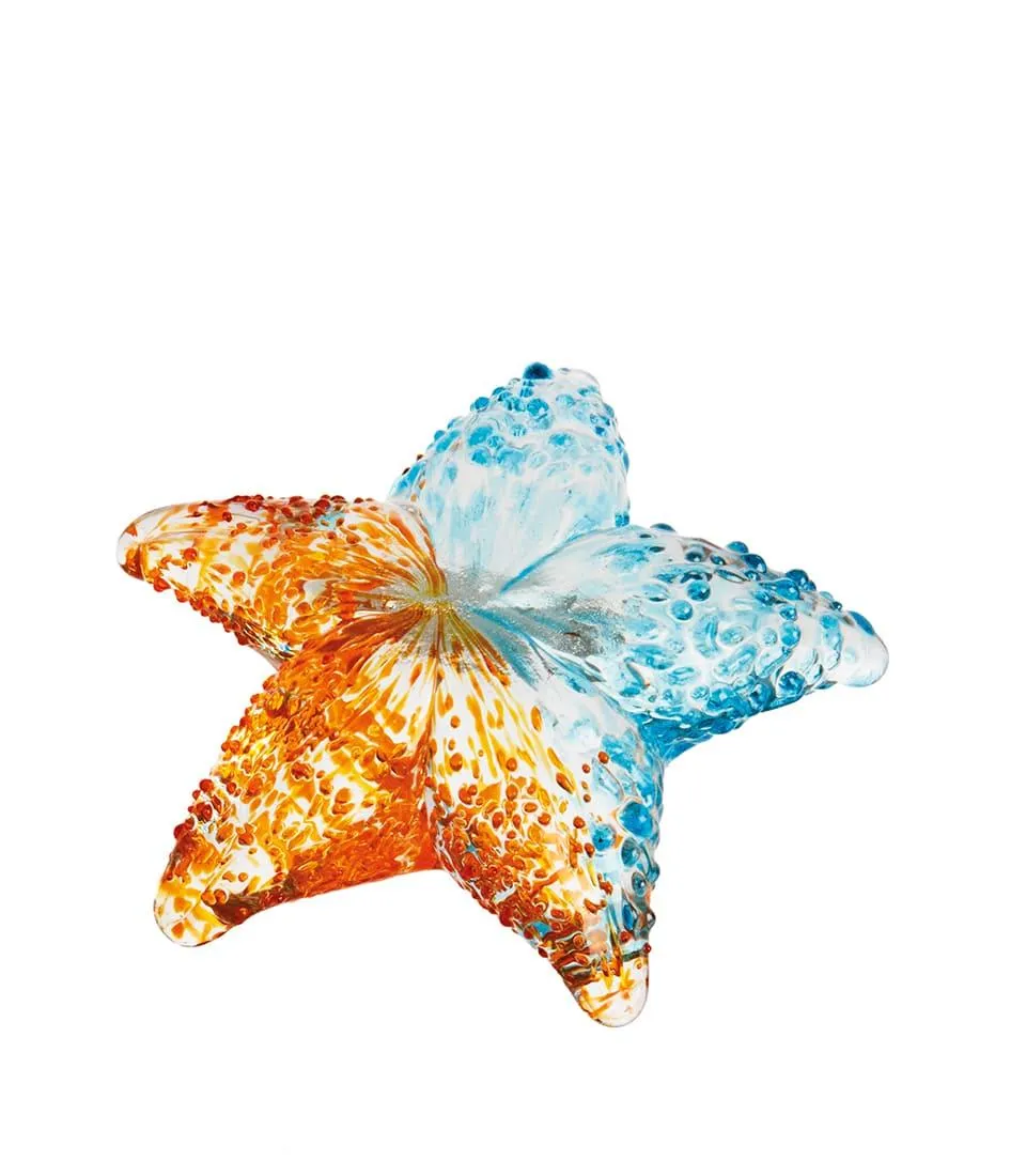 Stella marina decorativa - set 5 pz