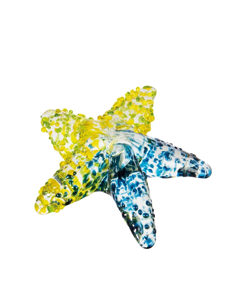 Decorative starfish - set 5 pcs.