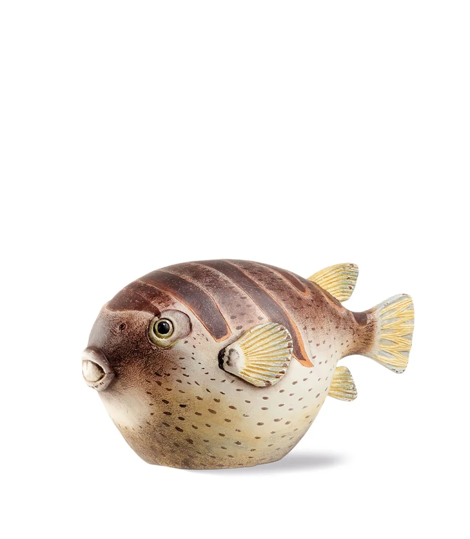 Pesce palla Colomesus decorativo
