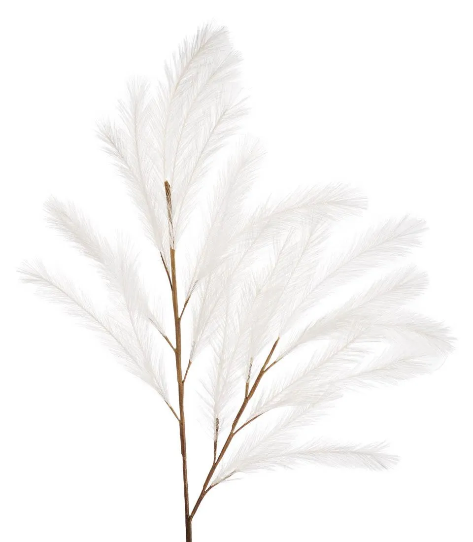 Pampas, white