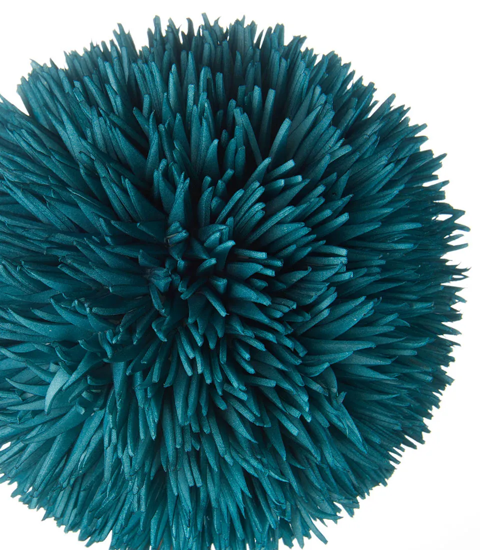 Allium avio