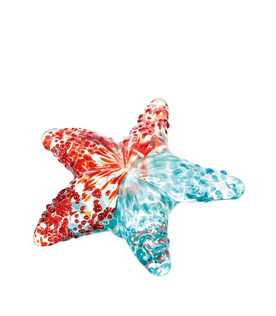 Stella marina decorativa - set 5 pz