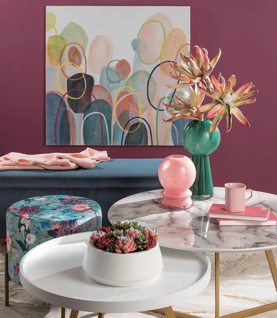 Succulent Plant Arrangement