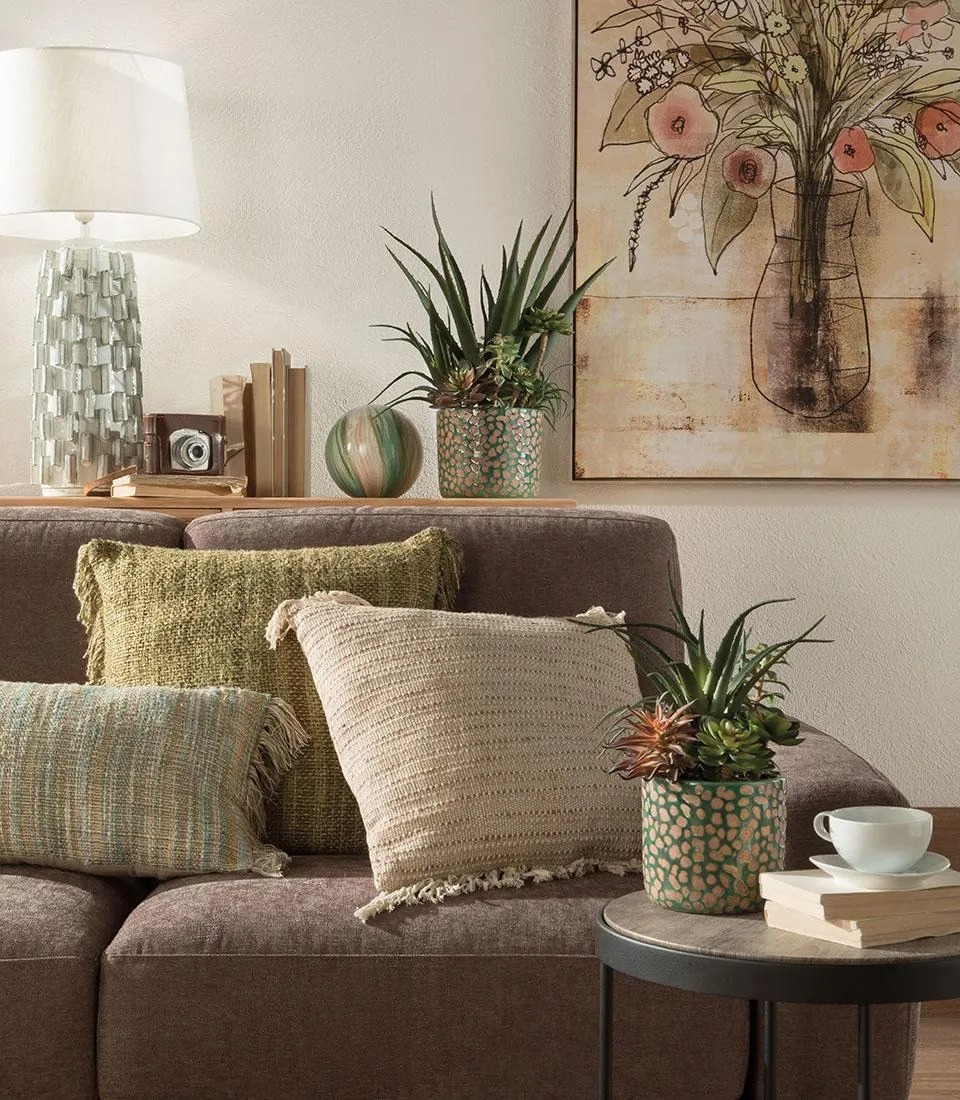 Succulent plant arrangement - set 2 pcs.