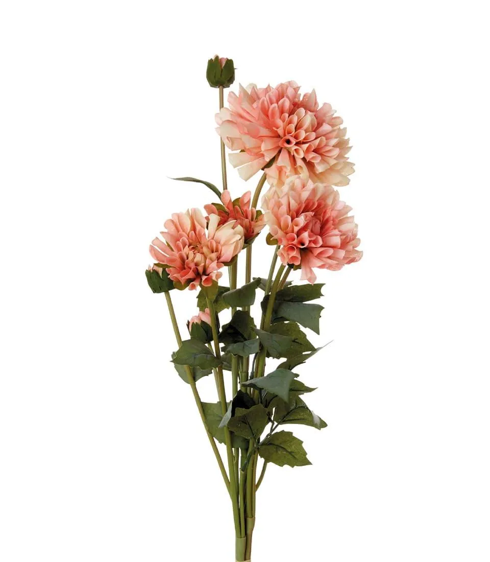DAHLIAS, PALE PINK (4 pcs/pack)