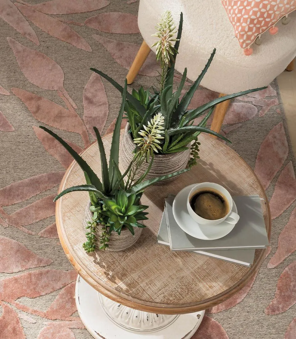 Succulent plant arrangement - set 2 pcs.