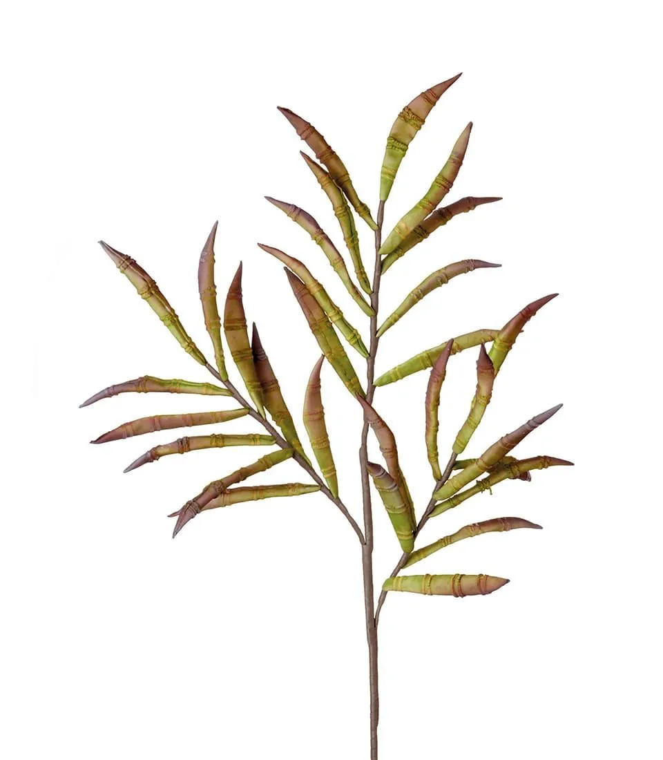 EUCALYPTUS, GREEN (4 pcs/pack)