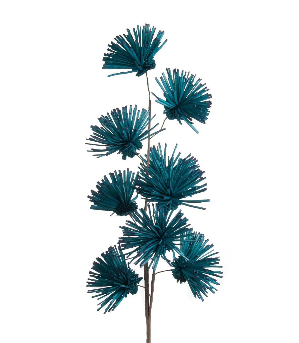 Echium, air force blue