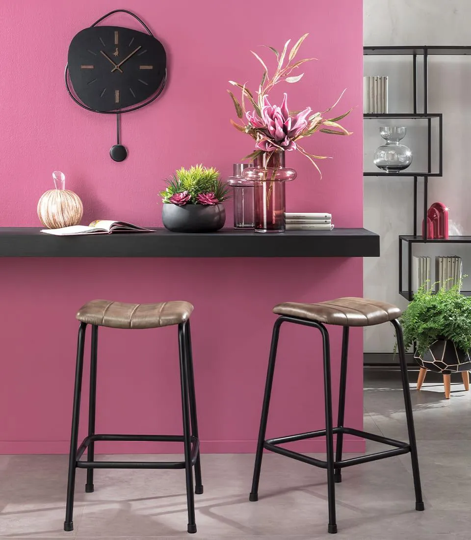 Composizione piante grasse