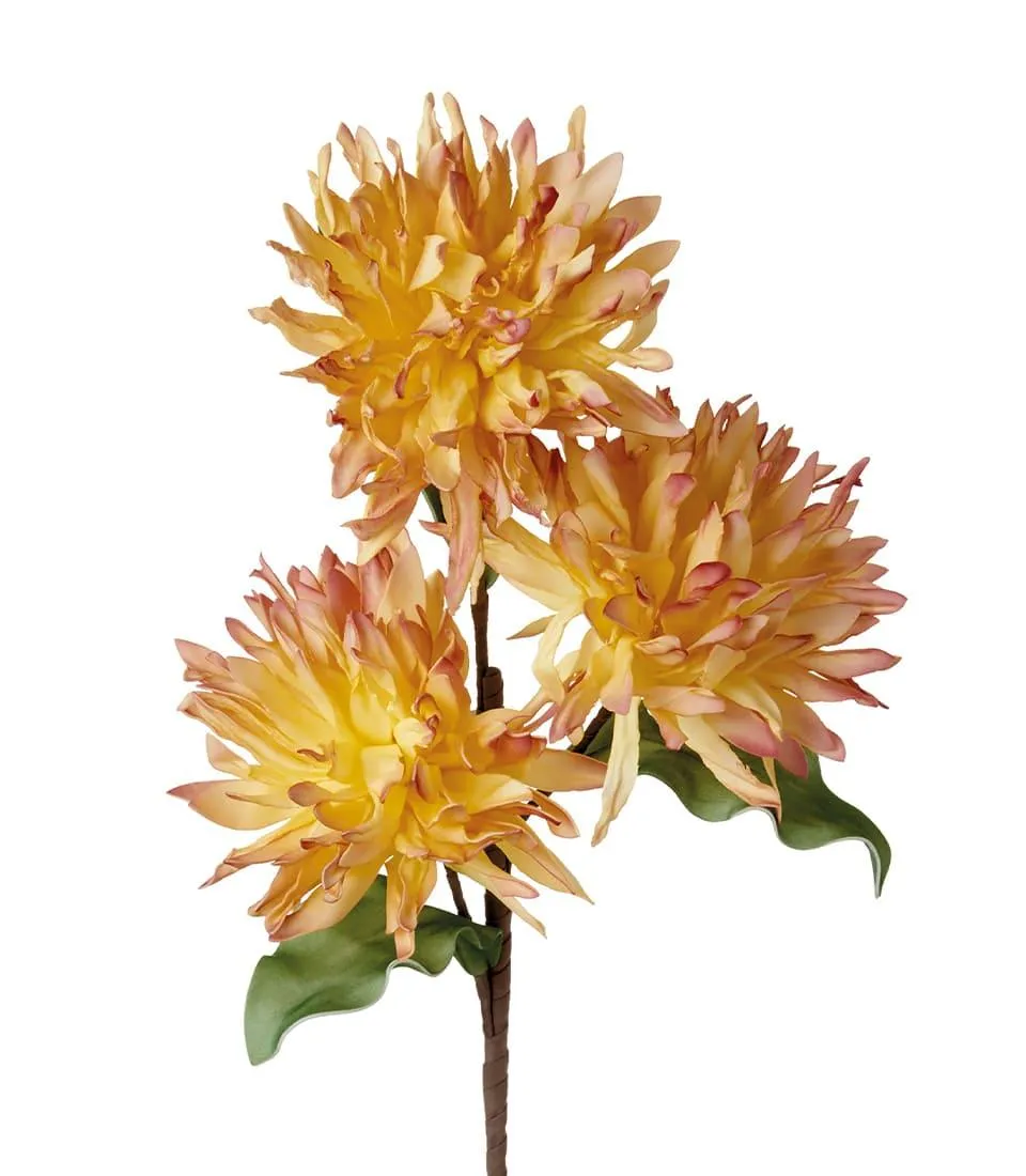 LYCORIS, YELLOW (4 pcs/pack)