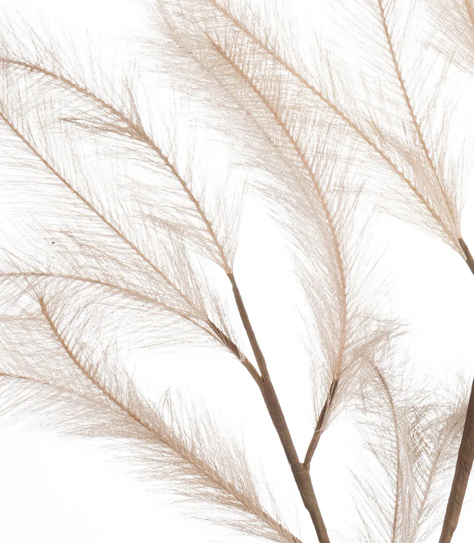 Pampas, natural
