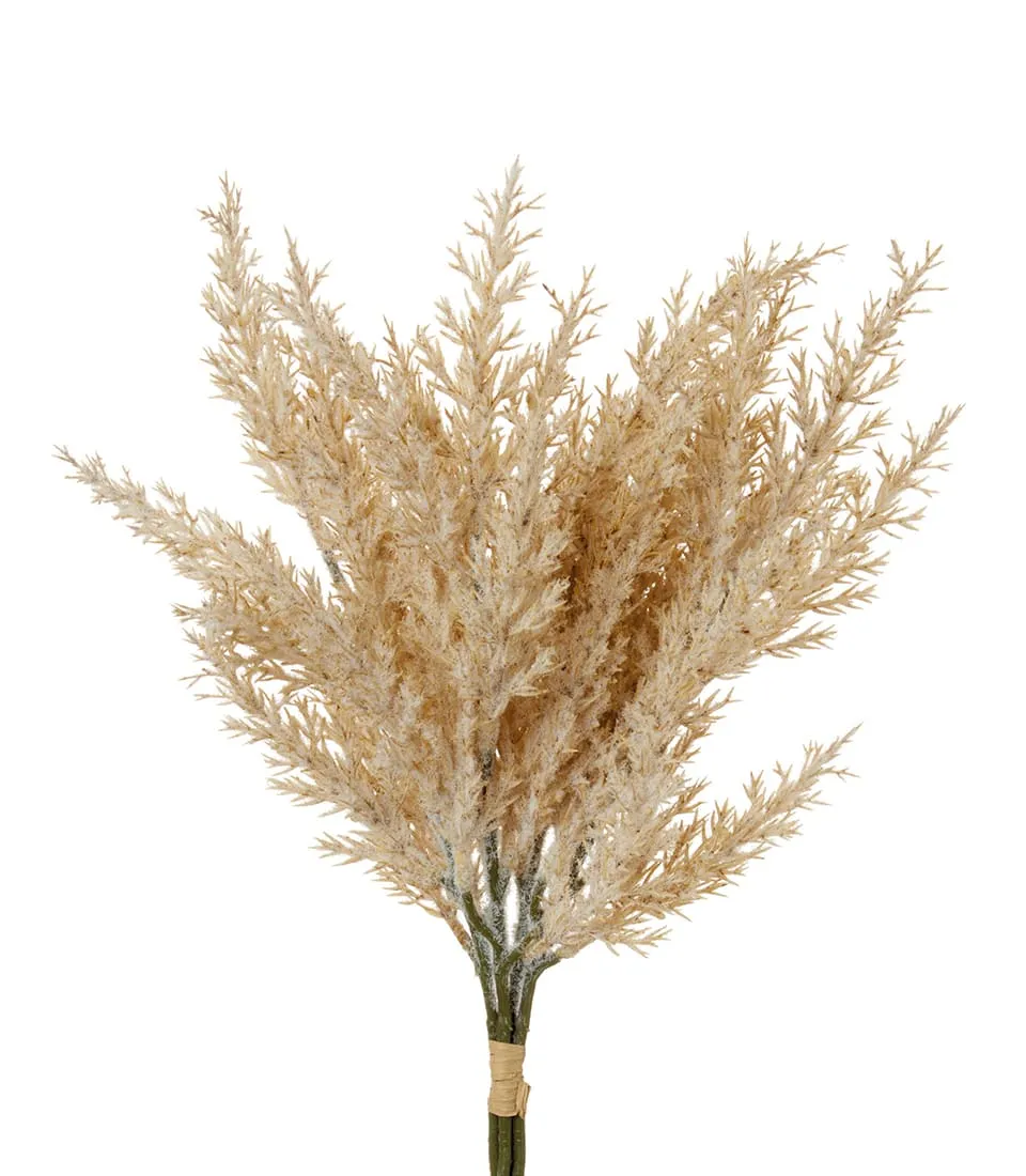 Ginepro naturale