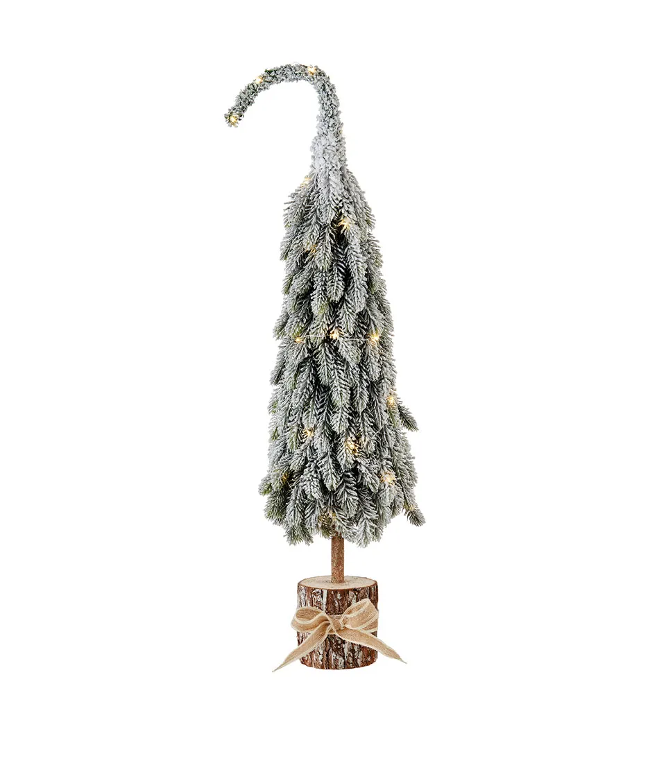 Albero grande