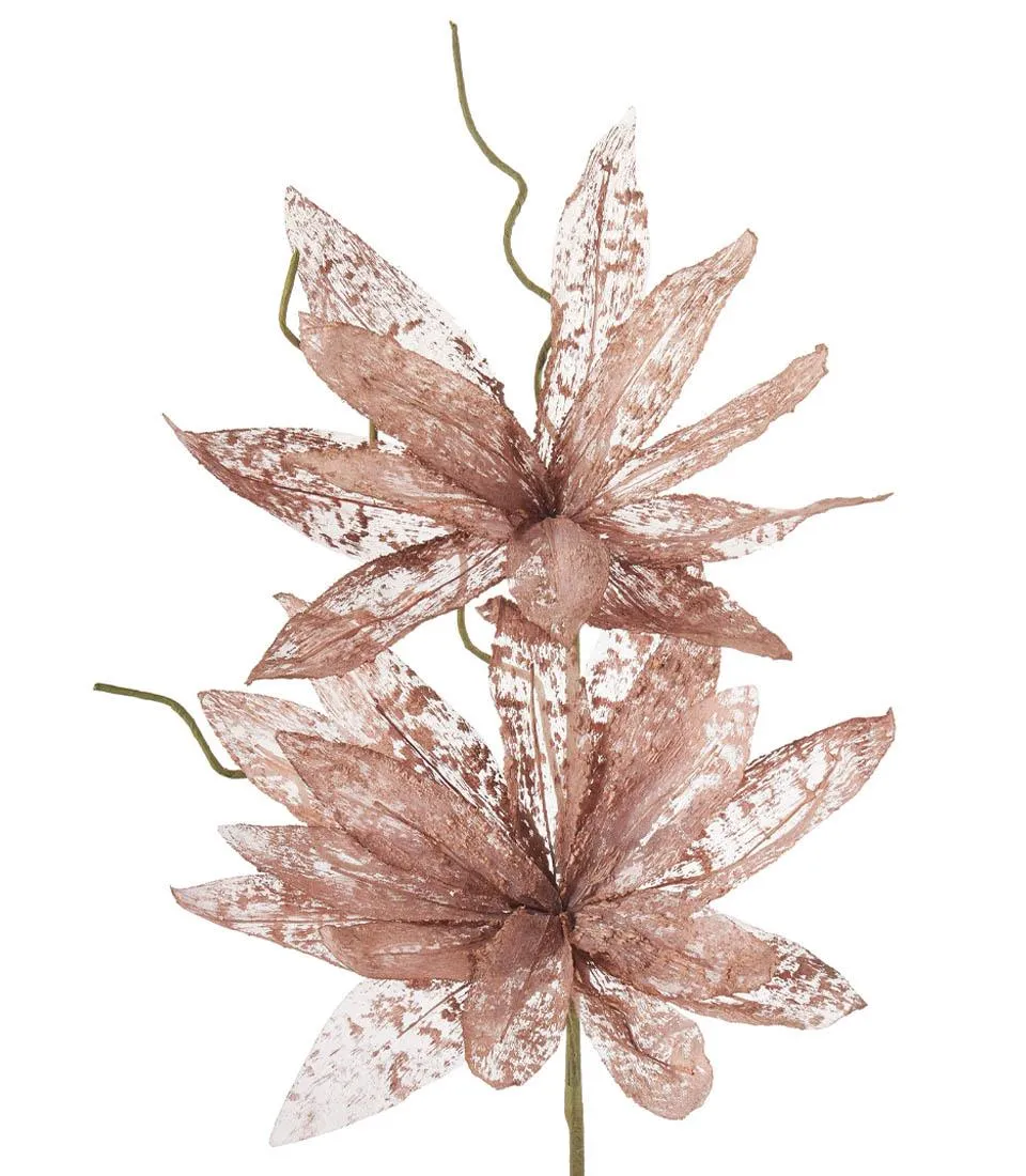 Magnolia porpurea, bronze