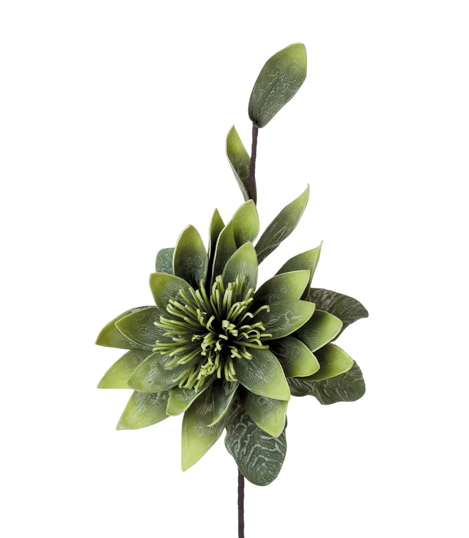 Lotus flower, green