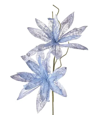 Magnolia porpurea, pale blue