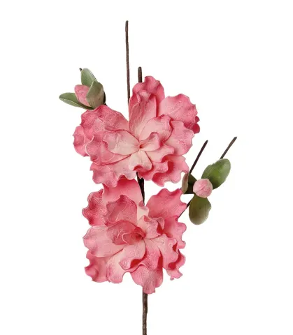 Azalea rosa