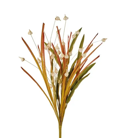 Erba cipollina bianca