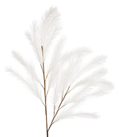 Pampas bianco