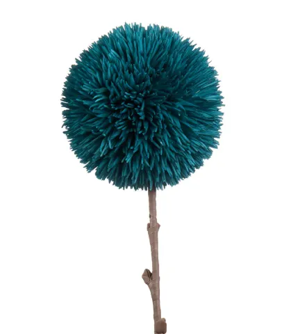 Allium, air force blue