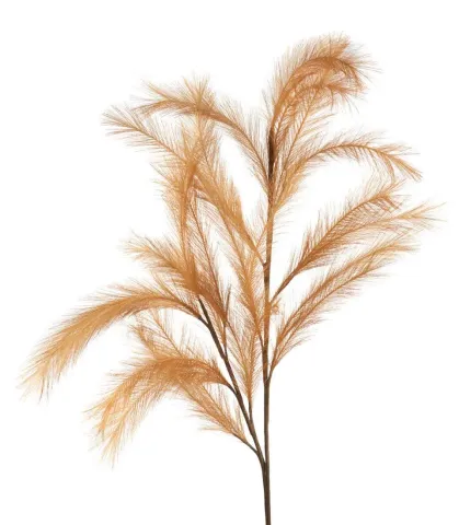 Pampas bronzo