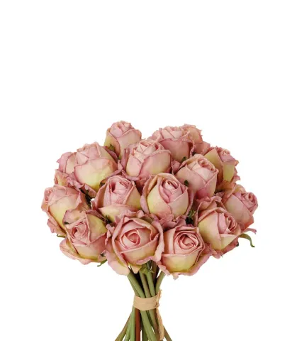 Bouquet 18 rose cipria