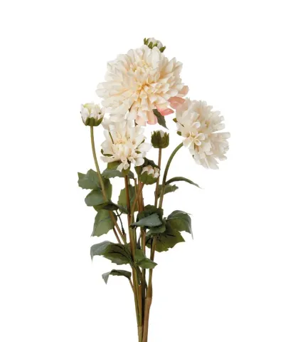 DAHLIAS, WHITE (4 pcs/pack)