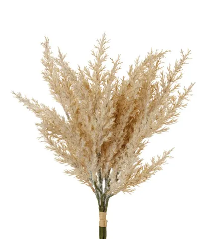 Ginepro naturale
