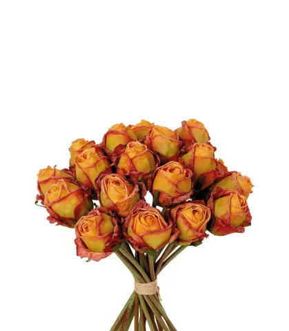 BOUQUET 18 ROSES, ORANGE (4 pcs/pack)