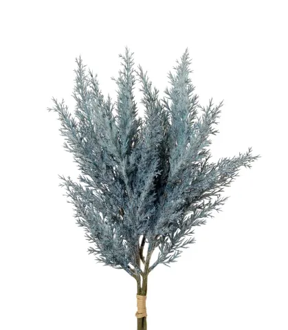 Juniper, grey